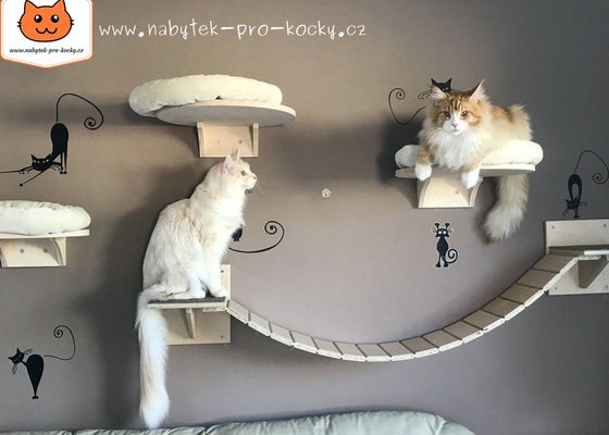 Instalace "kočičí stezky" (poliček) na panelovou stěnu