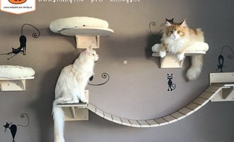 Instalace "kočičí stezky" (poliček) na panelovou stěnu - stav před realizací