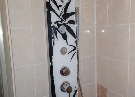 Výměna sprchového panelu