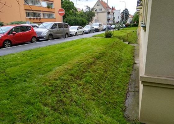 Pravidelná údržba zeleně na pozemku kolem bytového domu na Praze 6