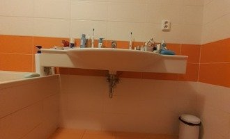 Výměna umyvadla a montáž skříněk v koupelně - stav před realizací