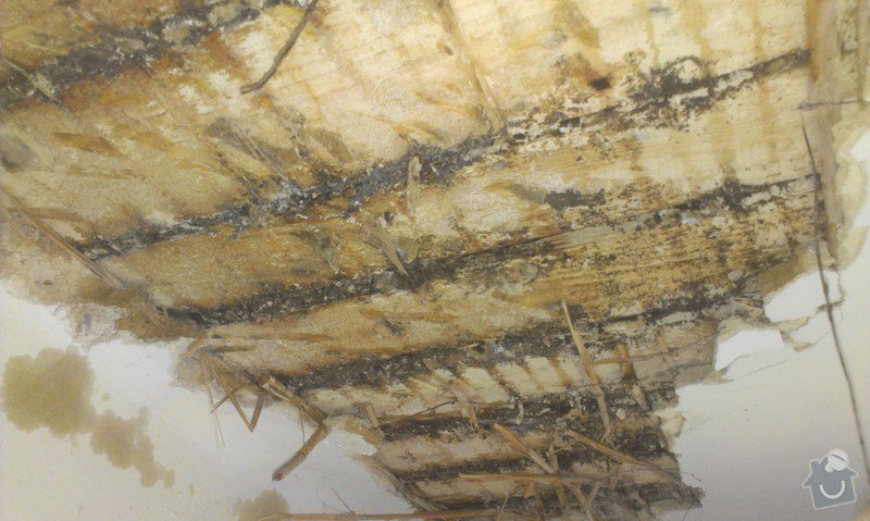 Odstranění medu od les.včel z dřevěné podlahy (med prosakuje stropem v místnosti pod podlahou.: IMAG1907