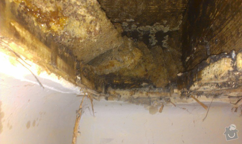 Odstranění medu od les.včel z dřevěné podlahy (med prosakuje stropem v místnosti pod podlahou.: IMAG1920
