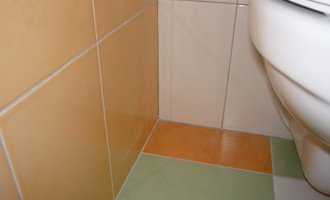 Obklady a dlazby v koupelne+WC