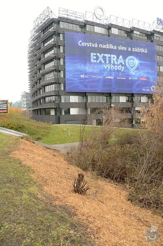 Obnova záhonů na parkovišti, Obnova provizorního chodníku, Průmyslové zmlazení porostů a Zastřižení keřových skupin na parkovišti u BB Centra: prumyslove-zmlazeni-porostu-u-ulice-5-kvetna-u-arealu-bb-cent_Mulcovani_1