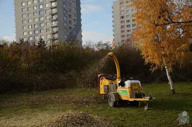 Obnova záhonů na parkovišti, Obnova provizorního chodníku, Průmyslové zmlazení porostů a Zastřižení keřových skupin na parkovišti u BB Centra: prumyslove-zmlazeni-porostu-u-ulice-5-kvetna-u-arealu-bb-cent_DSC_8479