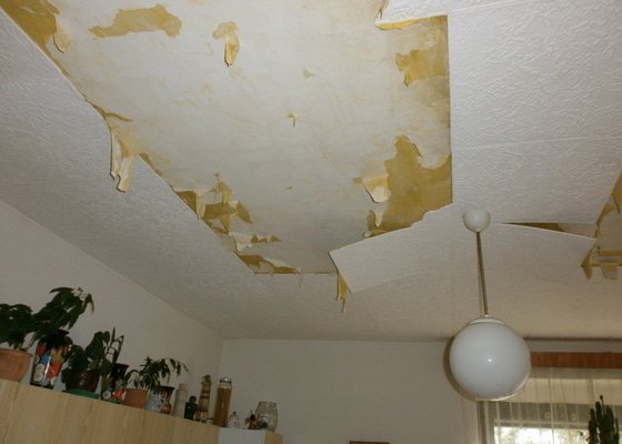Sanace vytopeného bytu tj. nalepení stropních kazet a vymalování v kuchyni, vymalování předsíně, záchodu a spíže.