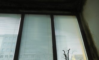 Odstranění plísní  vnitřních prostor kolem oken, Praha - stav před realizací