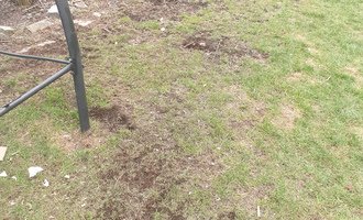 Úprava trávníku a ostříhání 10 thují - stav před realizací