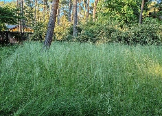 Sekání trávy (vyška 70cm) na pozemku 800 m2 - Lhota, Brandýs nad Labem