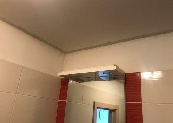 Výměna sádrokartonového podhledu v bytě panelového bytu (koupelna a předsíň), vymalování.