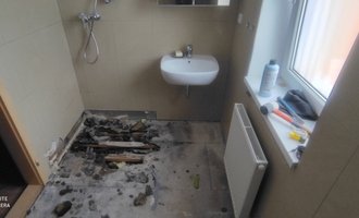 Částečná rekonstrukce bytu (koupelna + předsíň)