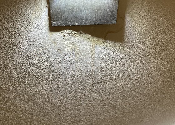 Voda protékající ze sprchového koutu skrz zeď