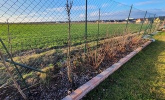 Úprava pletivového plotu - stav před realizací