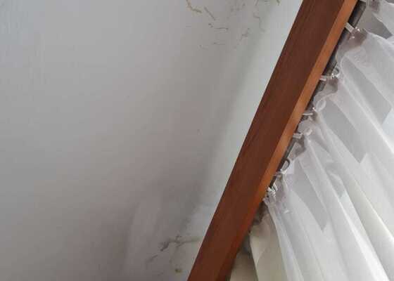 Škrábání stěn a vymalování 4 - 5 místností
