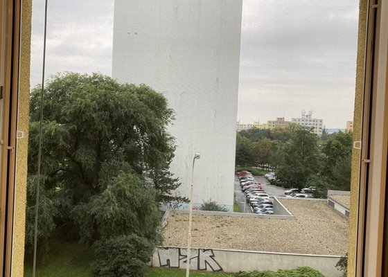 Sítě proti hmyzu do oken a balkonových dveří