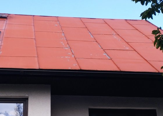 Nátěr plechové střechy 170 m2