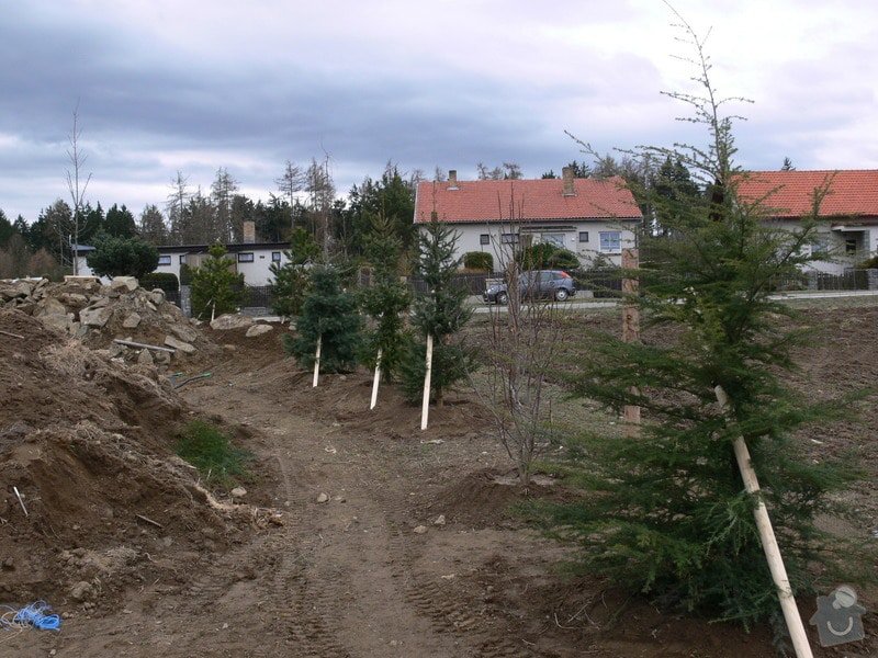 Zakladaní zahrady, vysadba vzrostlych stromu: P1490357