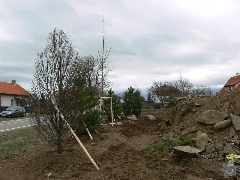 Zakladaní zahrady, vysadba vzrostlych stromu: P1490385