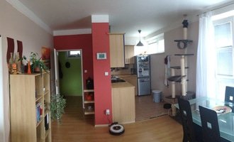 Vymalování bytu 57 m2 - stav před realizací