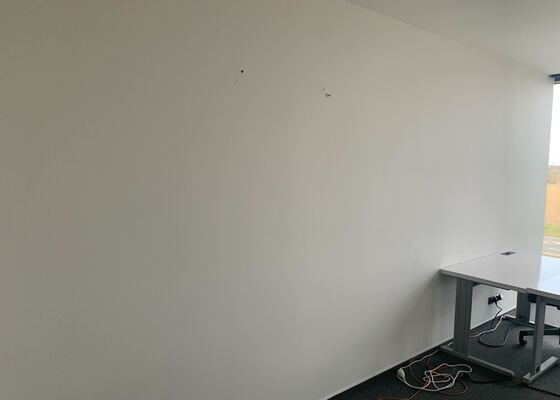 Vymalování kanceláře, 1 místnost, 22 m²