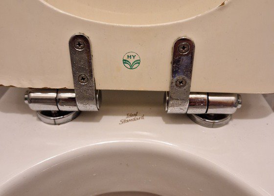 Výměna záchodového prkénka