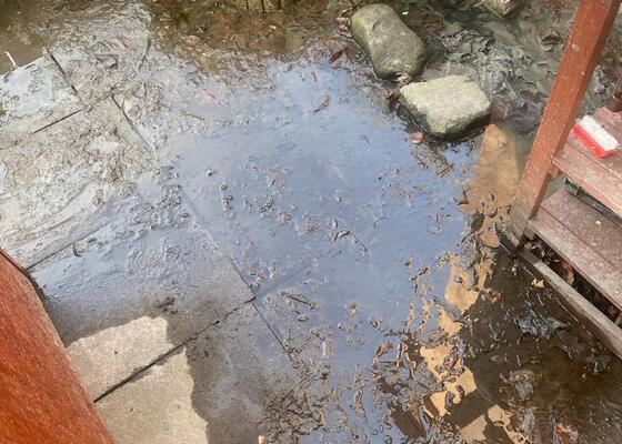 Škody vodou na zahradě