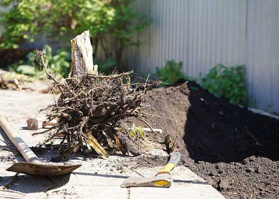 Vykopání kořenů a pomocné zahradnické práce