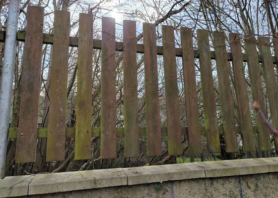 Nátěr laťkového plotu