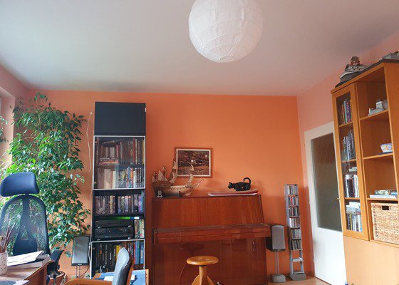 Malování bytu, 1 místnost, 112 m²