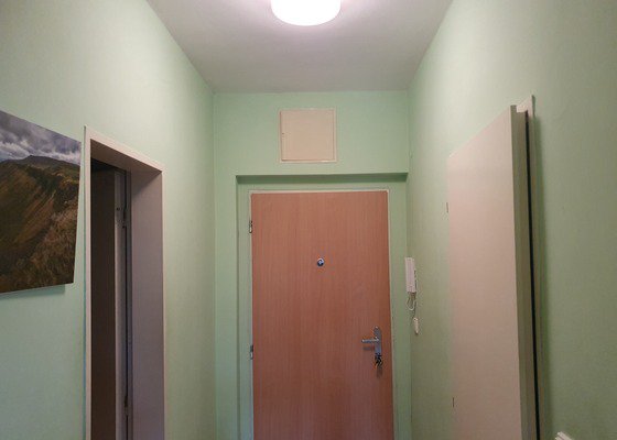 Malování bytu, 1 místnost, 112 m²