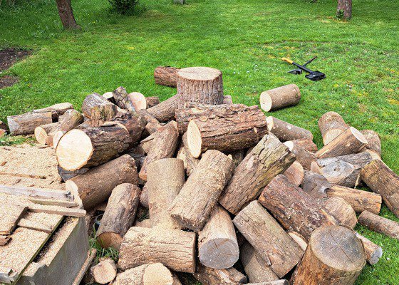Řezání  dřeva