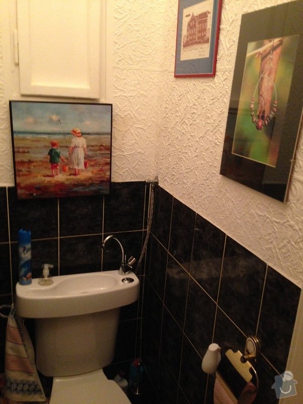 Rekonstrukce wc: IMG_1710