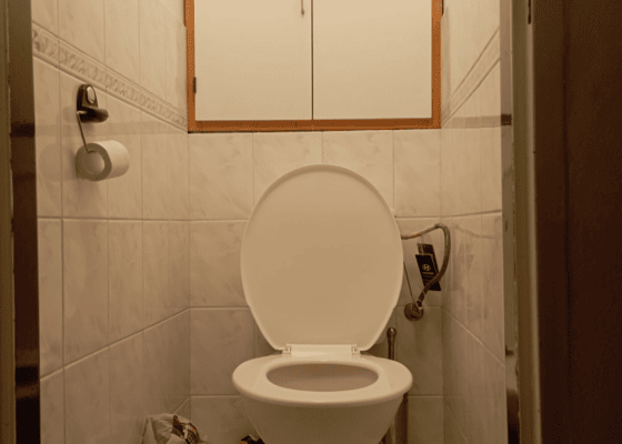 Renovace WC