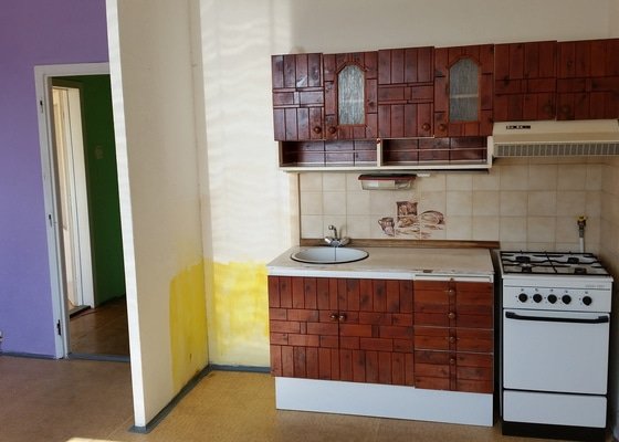 Štukování + malování bytu 1+1 o rozloze 40 m2 + následný úklid a možná výměna staré kuchyňské linky za novou (nová digestoř + nový plynový sporák + nová vodovodní baterie)