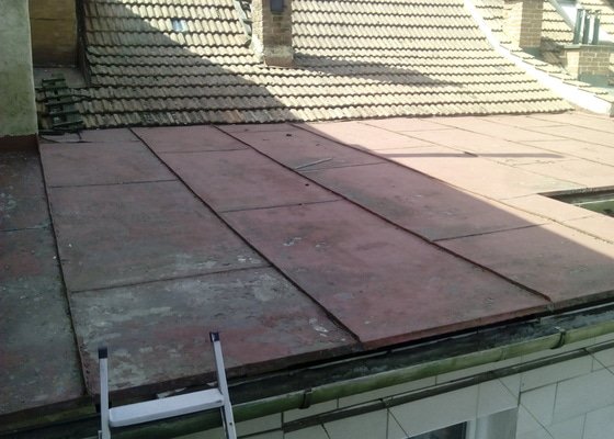 Natření střechy cca. 60 m2