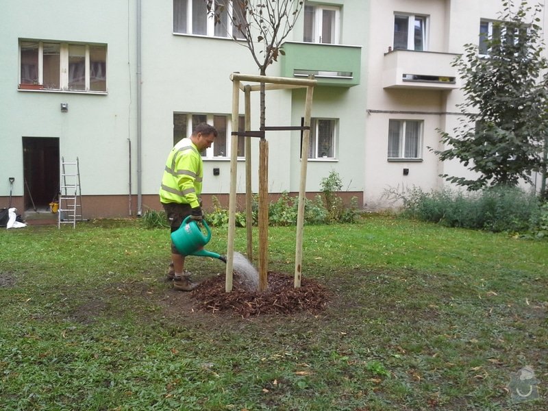 Výsadba stromu listnatého s balem: 20150923_111740