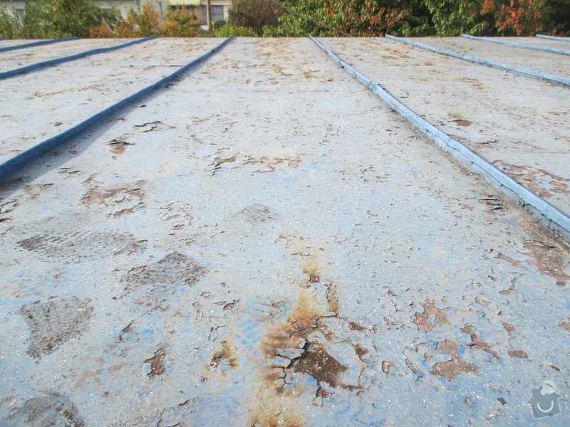 Nátěr plechové střechy cca 60m2: IMG_2760