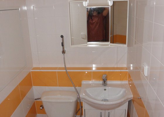 Koupelnu bez bourání bytového jádra paneláku