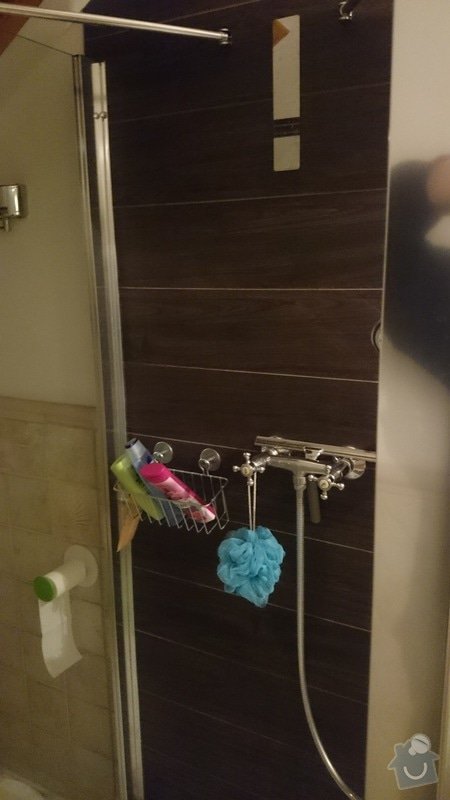 Rekonstrukce koupelny, výměna sprchového koutu: DSC_1351