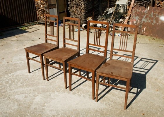 Restaurování mahagonových židlí
