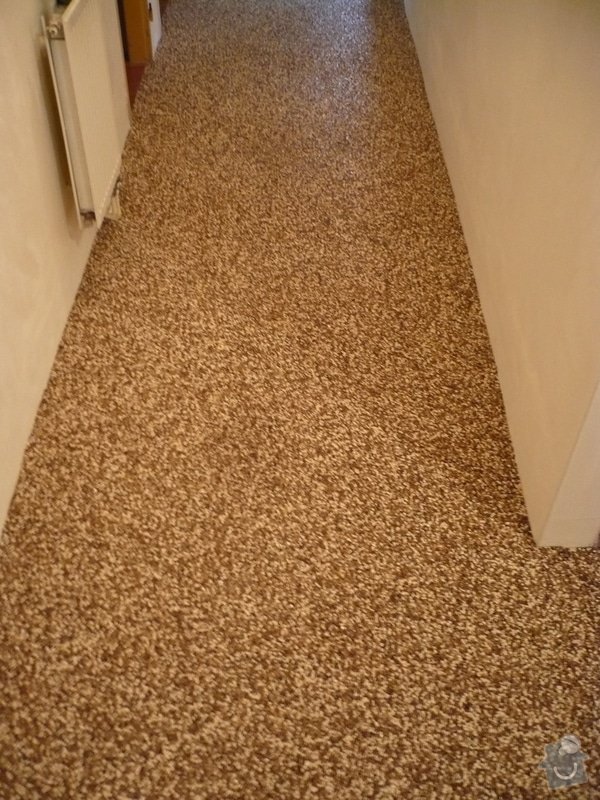 Kamenný koberec : P1220903